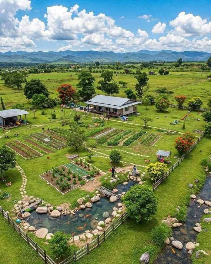 9fc86f74c898deeb22fc0615cee41683